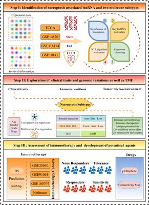 Necroptosis throws novel insights on patient classification and treatment strategies for hepatocellular carcinoma